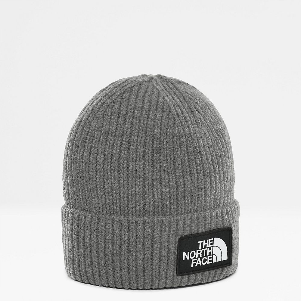 The North Face Beanies Mens Australia - The North Face Tnf Logo Box Cuffed Grey (QXN-072894)